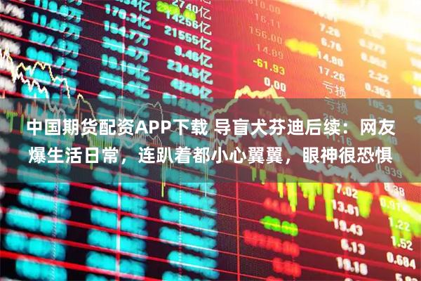 中国期货配资APP下载 导盲犬芬迪后续：网友爆生活日常，连趴着都小心翼翼，眼神很恐惧