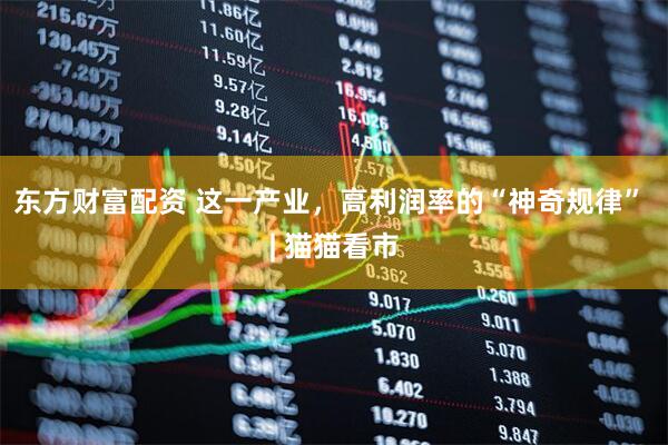 东方财富配资 这一产业，高利润率的“神奇规律” | 猫猫看市
